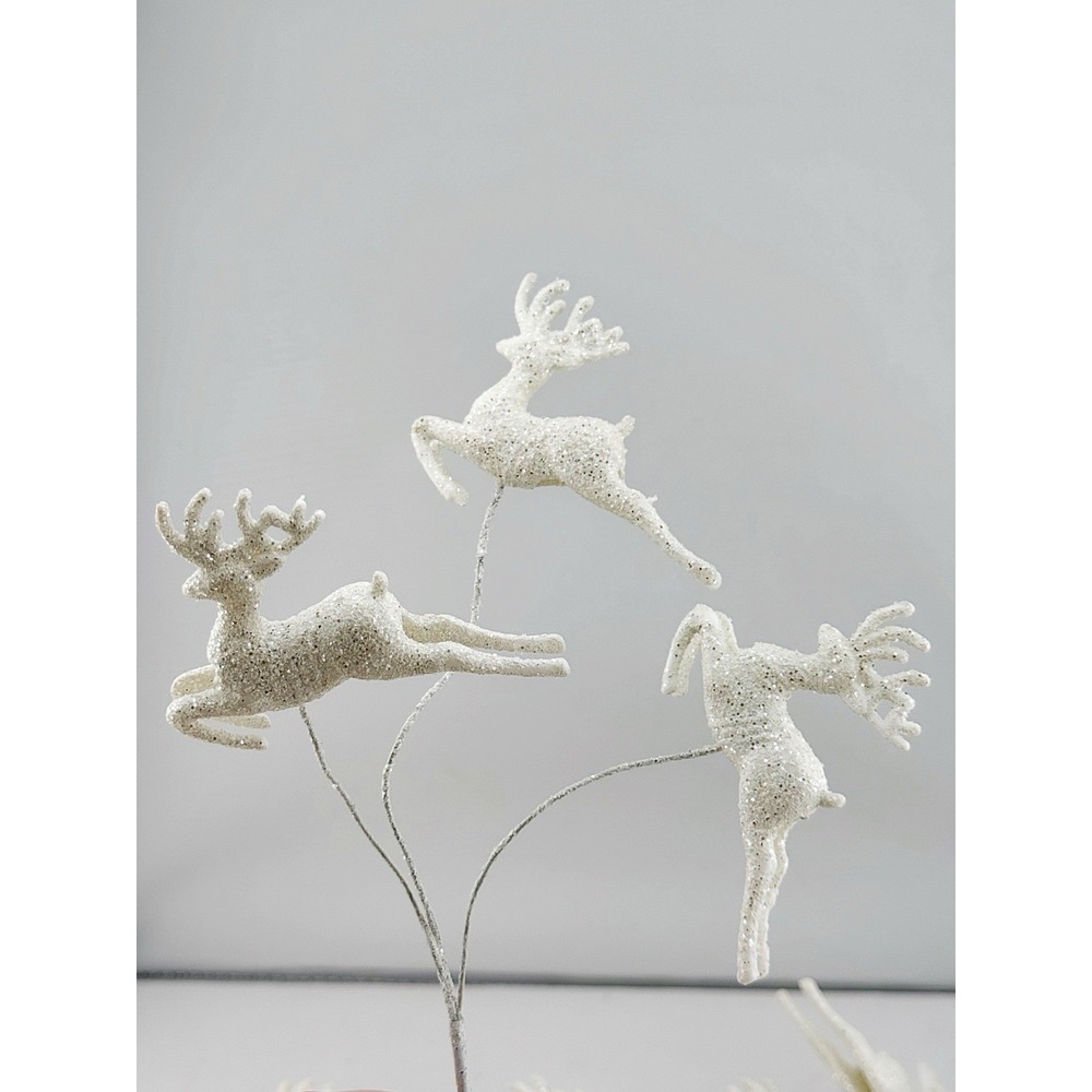 Reindeer - Picture 3 of 6